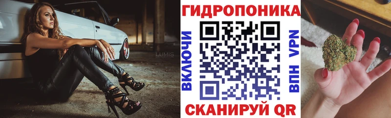 Шишки марихуана тримм площадка какой сайт Михайловск купить наркотик